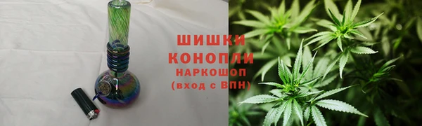 spice Осинники