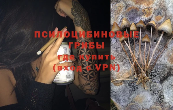 альфа пвп Няндома