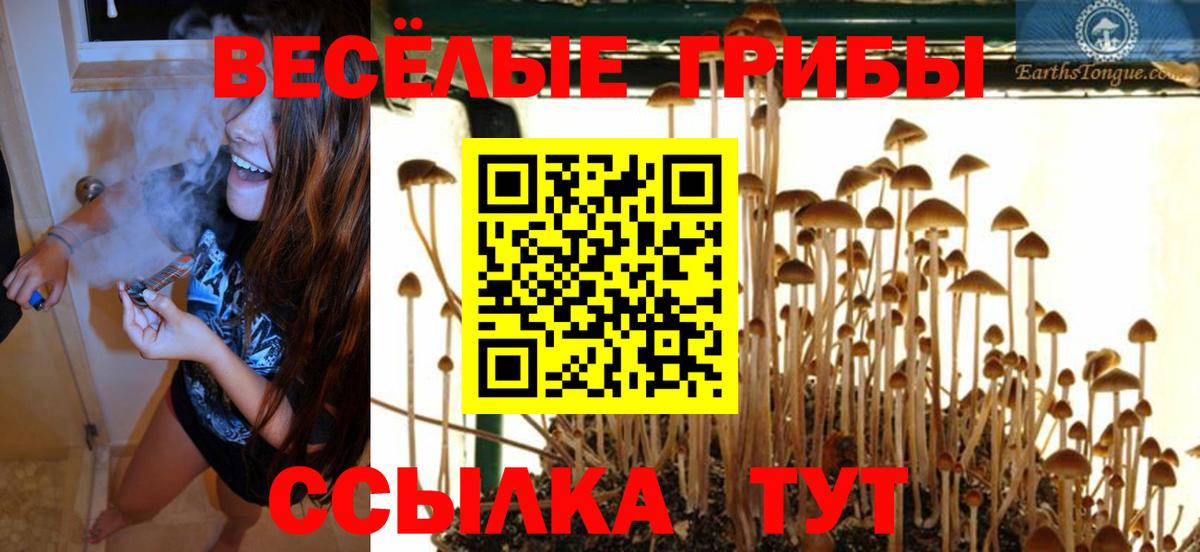 Галлюциногенные грибы GOLDEN TEACHER  Вход с VPN  Нягань 